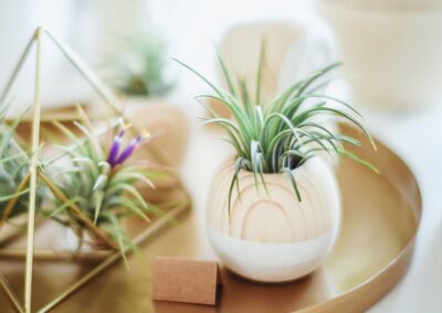 Mainostoimisto Lappeenranta | Amanda Visuals